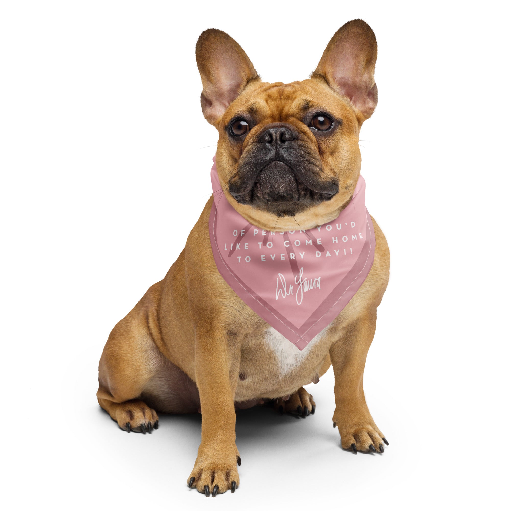 A French Bulldog wearing a pink bandana with text around it's neck with an insirational Dr. Laura quote 'Be the kind of person you'd like to come home to every day!' in white lettering.