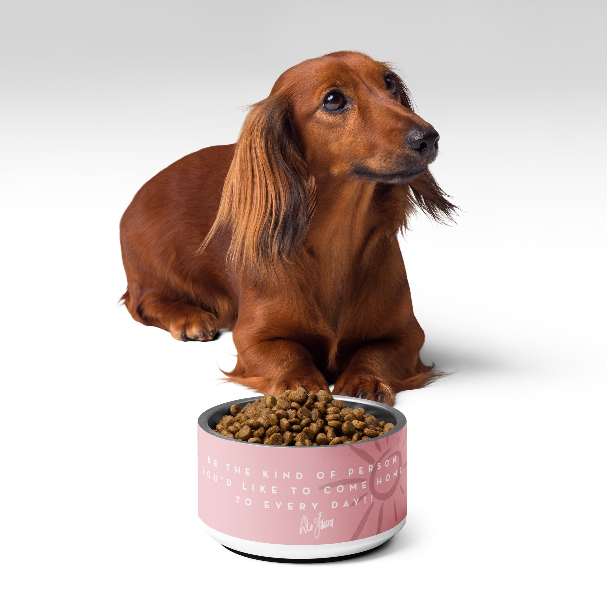A dachshund beside a pink dog bowl filled with food, featuring a 'DR. LAURA' motivational quote on the bowl's design.