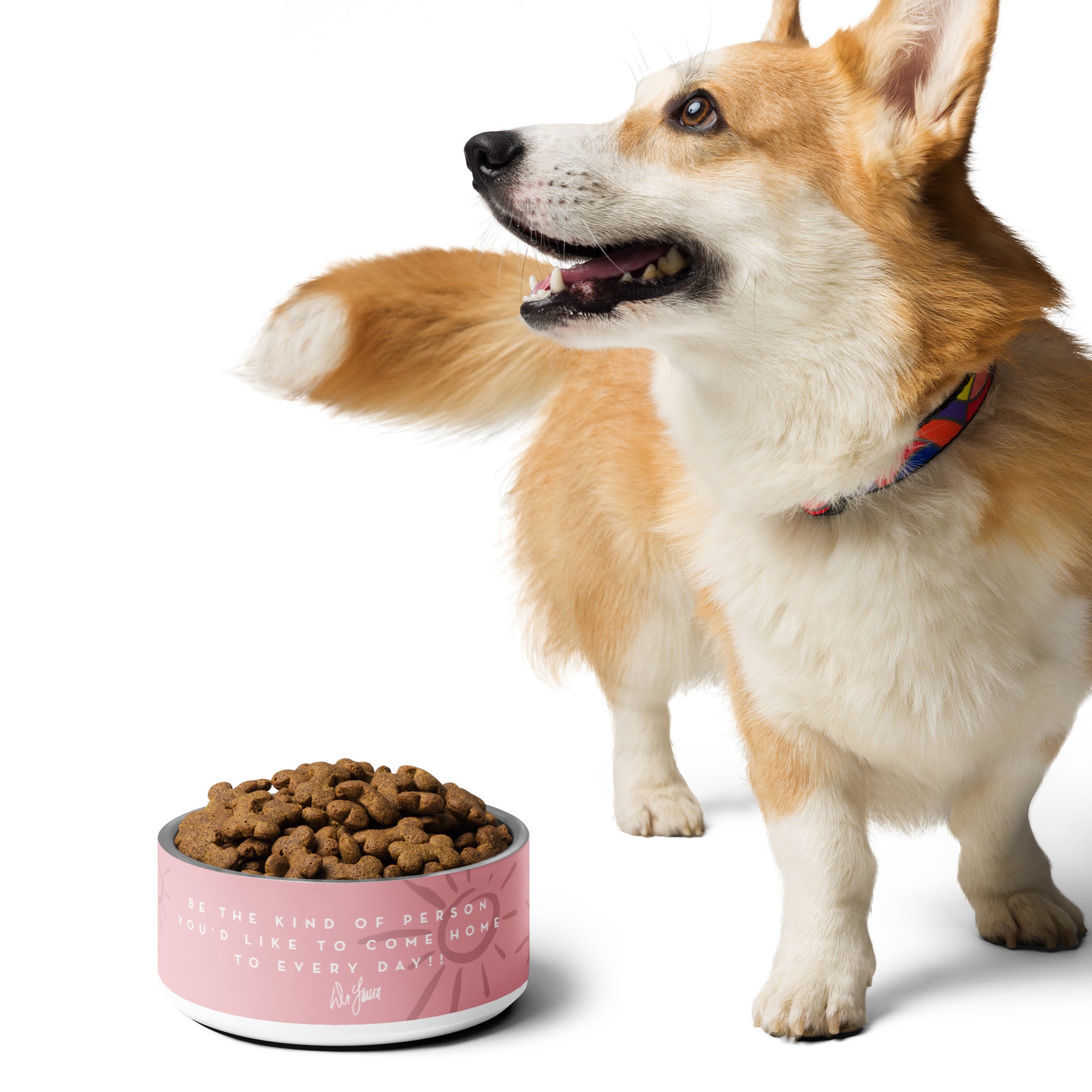 Corgi dog beside a pink bowl of dog food with a playful expression.