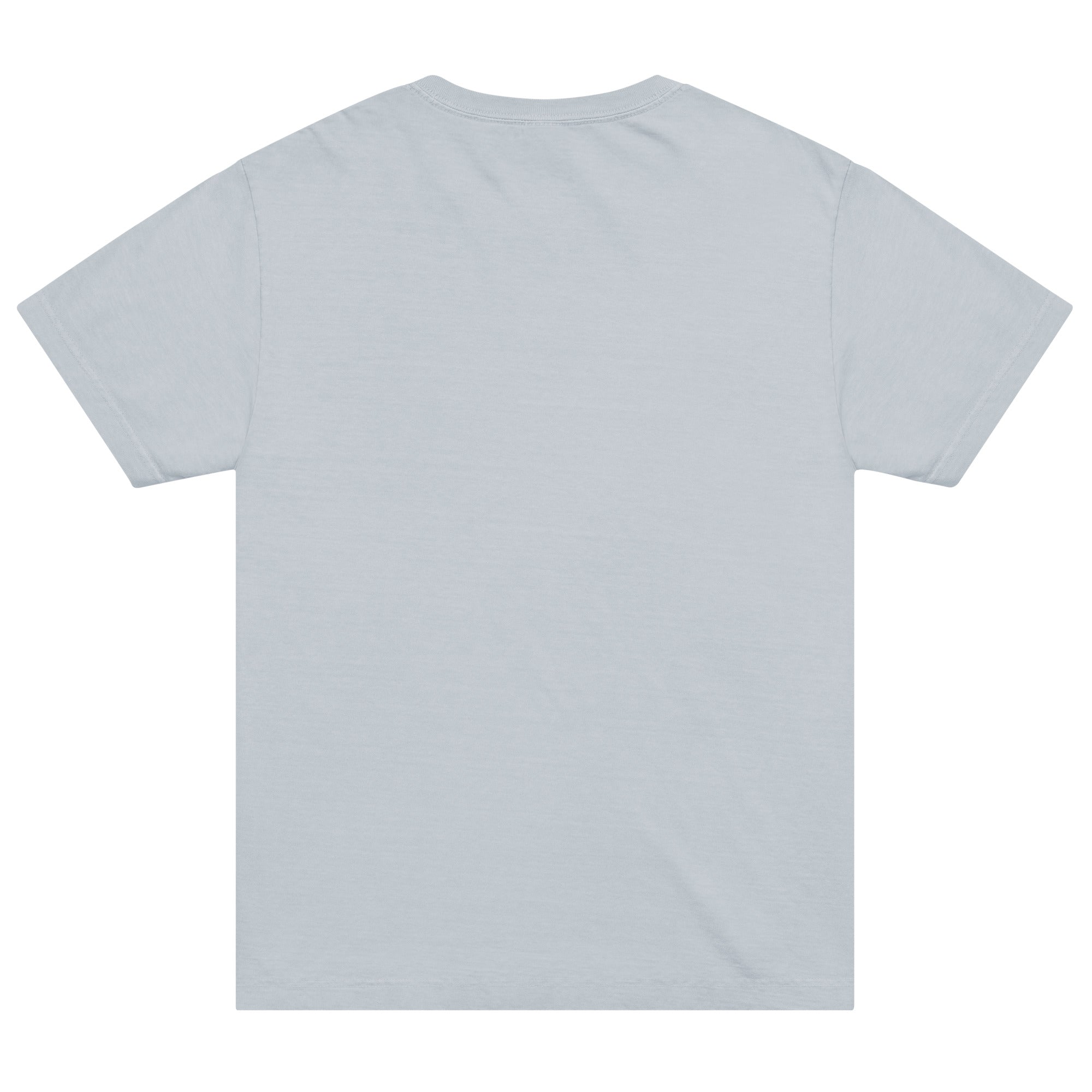 Flat lay of a light blue unisex t-shirt viewed from the back, showing a plain back with no graphics or text.