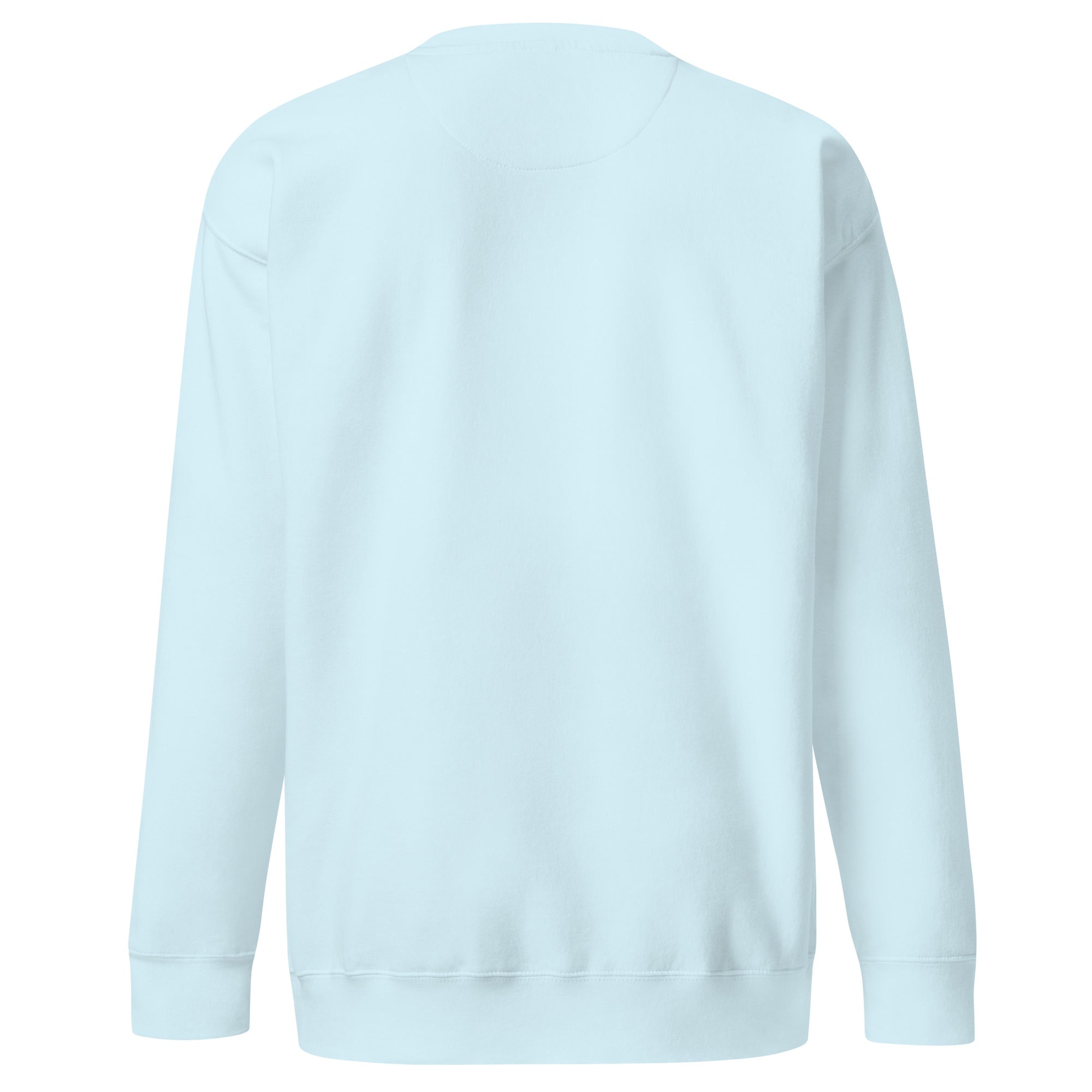 Flat lay back view of a light blue crewneck sweatshirt with no visible text or design.