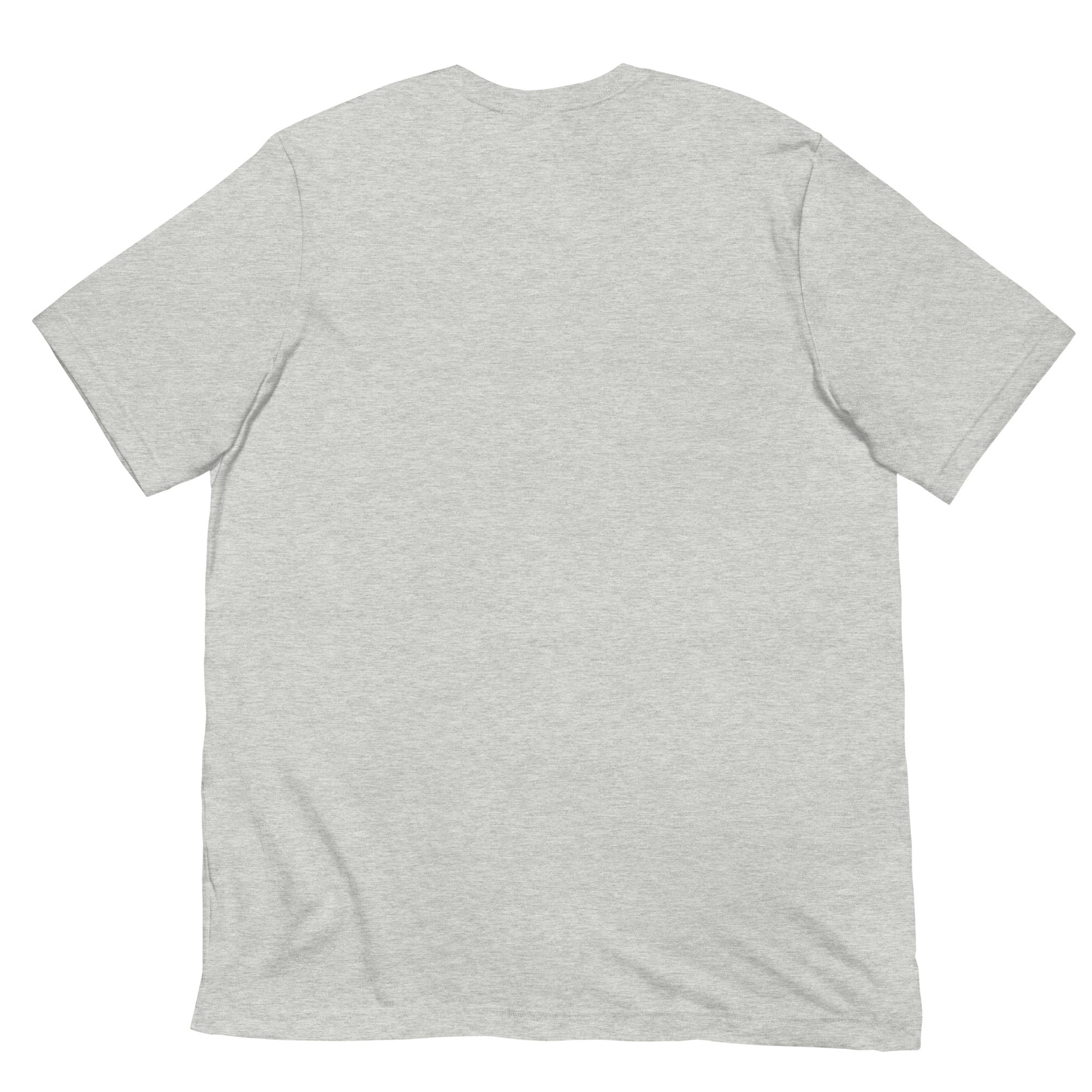 Flat lay back view of a light gray short-sleeve T-shirt. The back of the shirt is plain with no printed design or text.