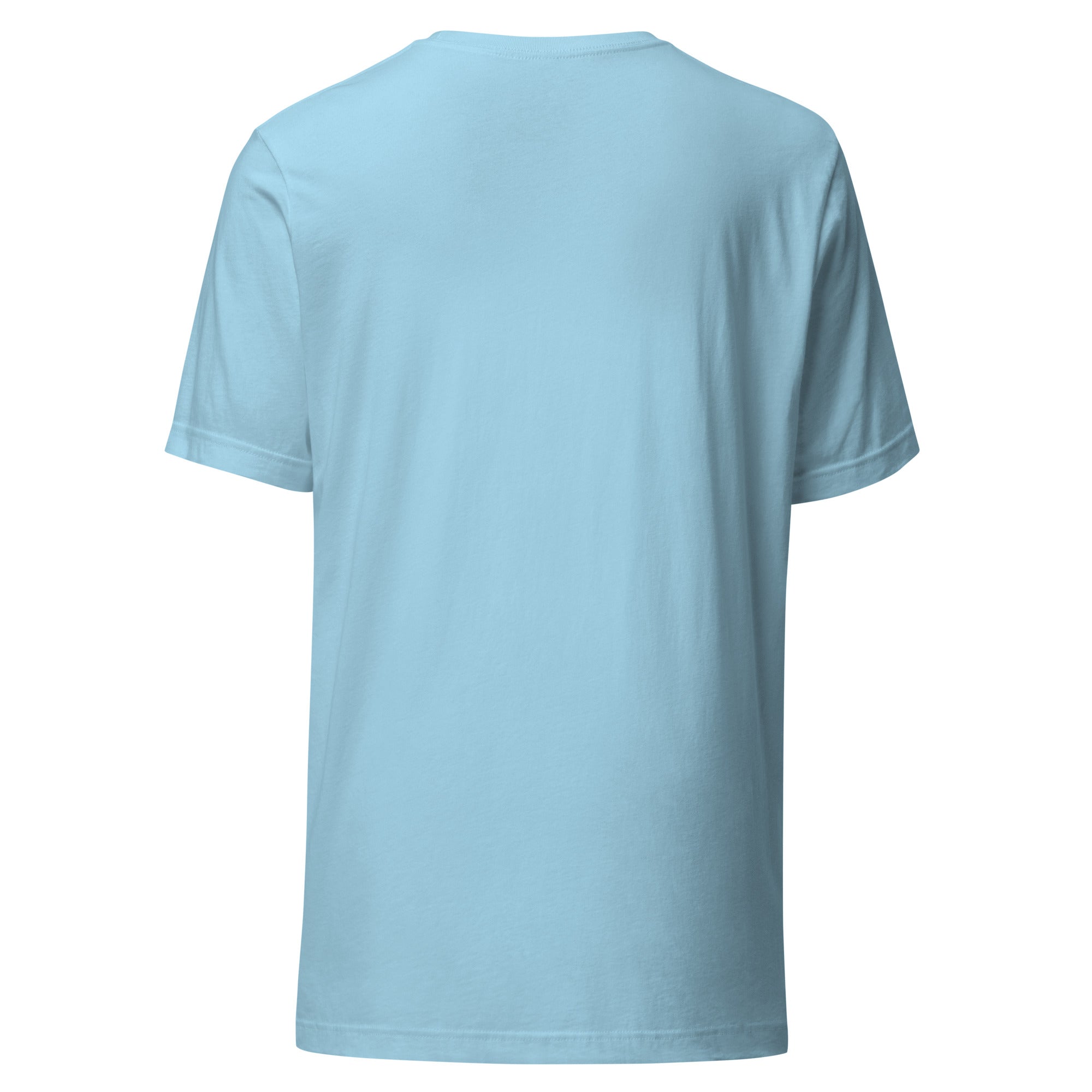 Flat lay of the back of a plain light blue unisex T-shirt with no design or text.
