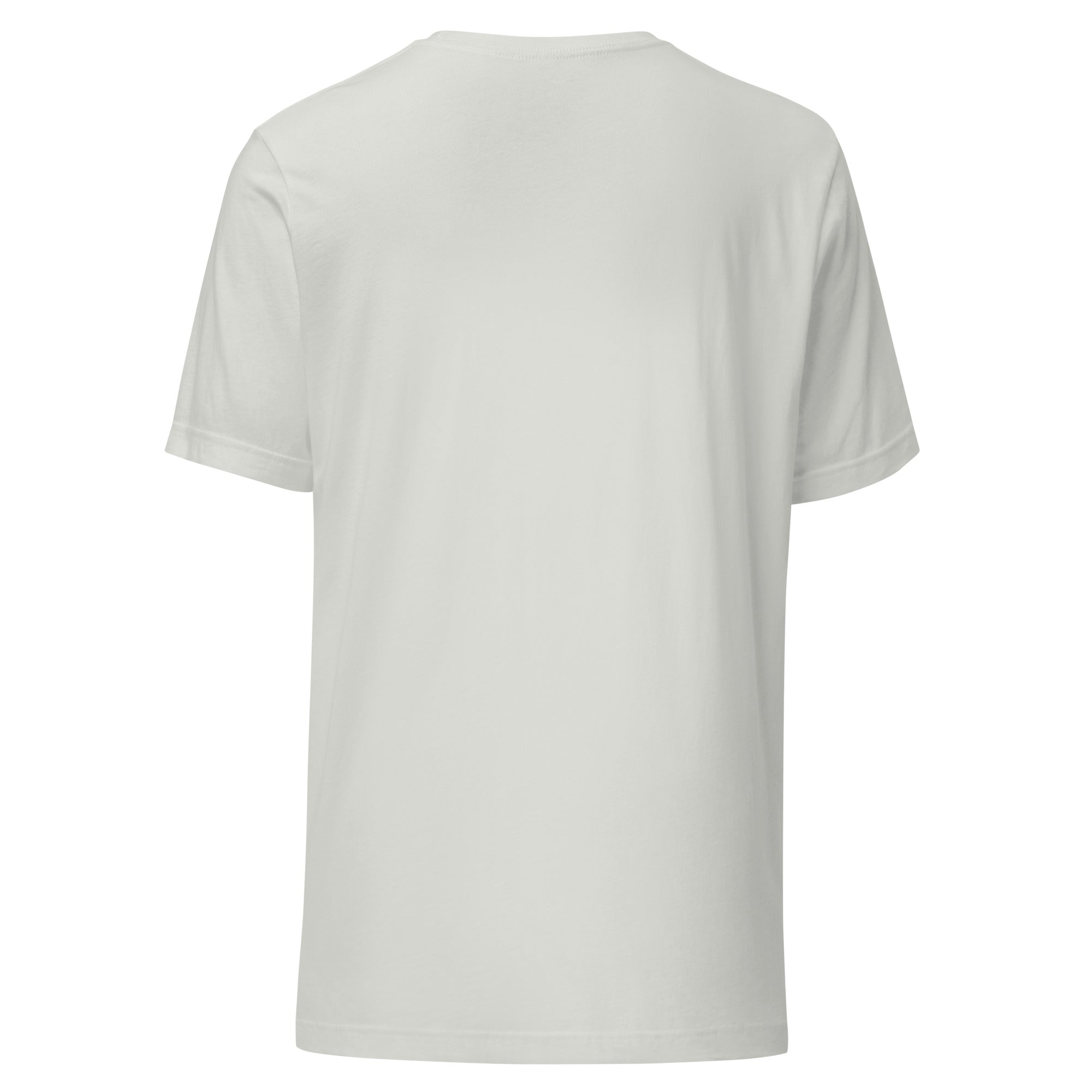 Flat lay of the back of a plain light silver unisex T-shirt with no graphics or text.