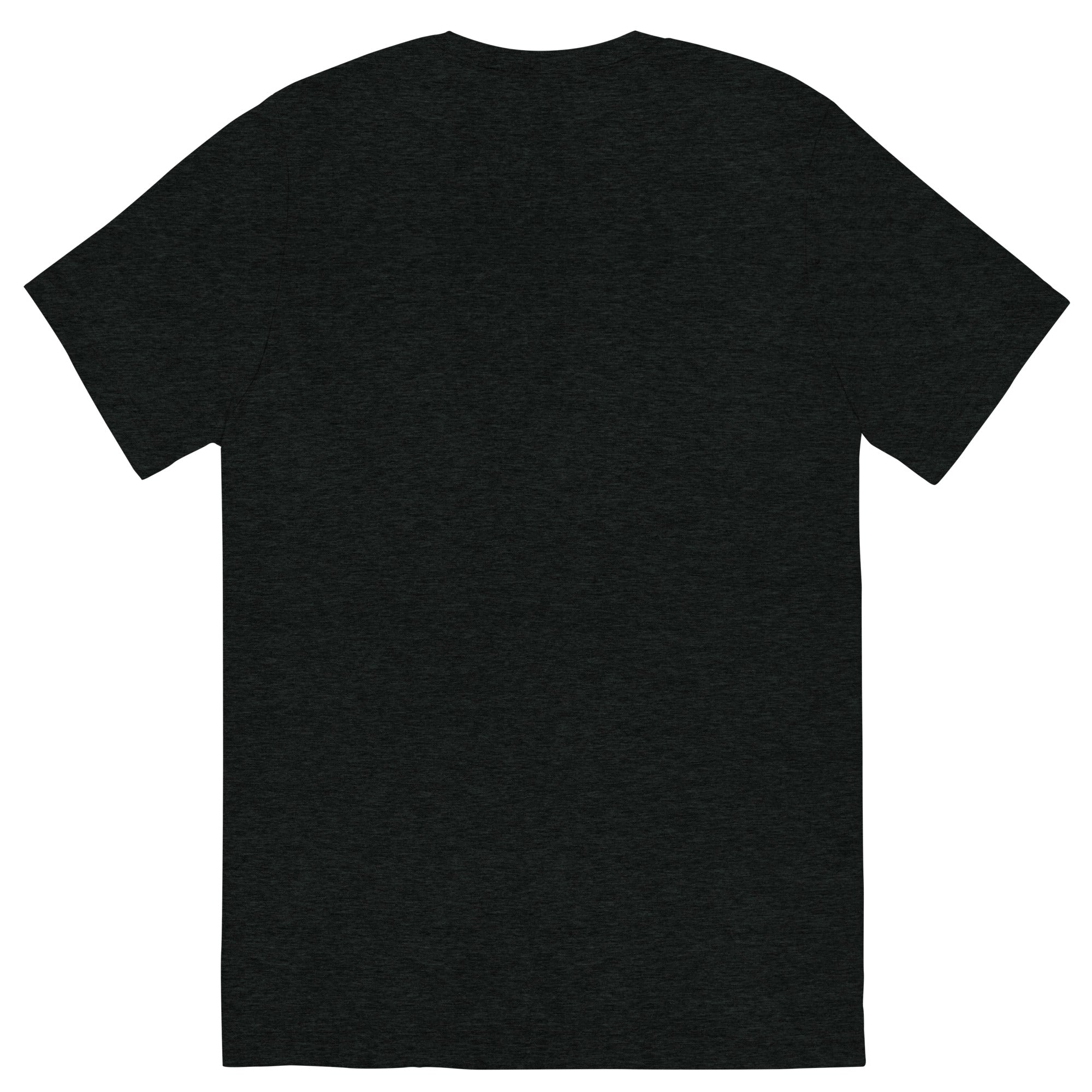 Black t-shirt viewed from back.