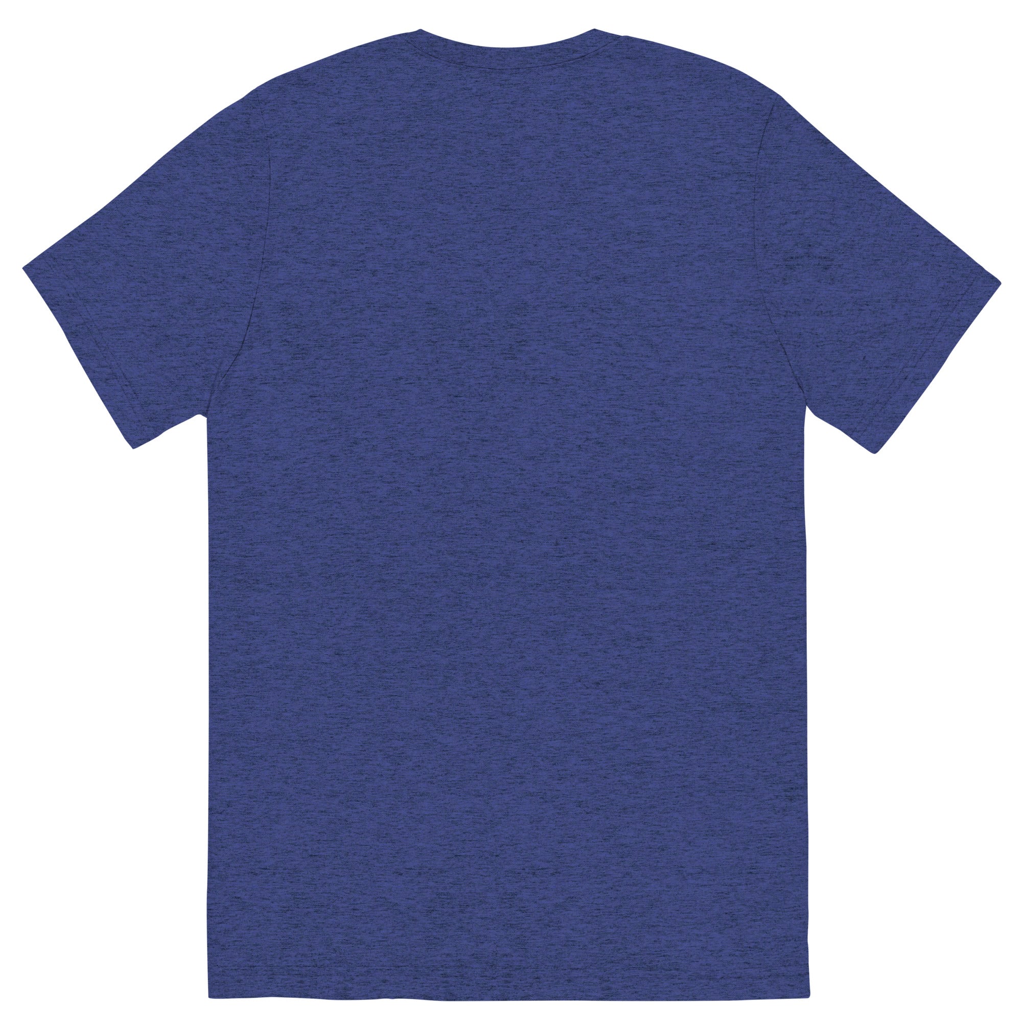 Blue t-shirt viewed from back.